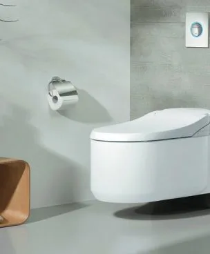 Elektrische douchewc's